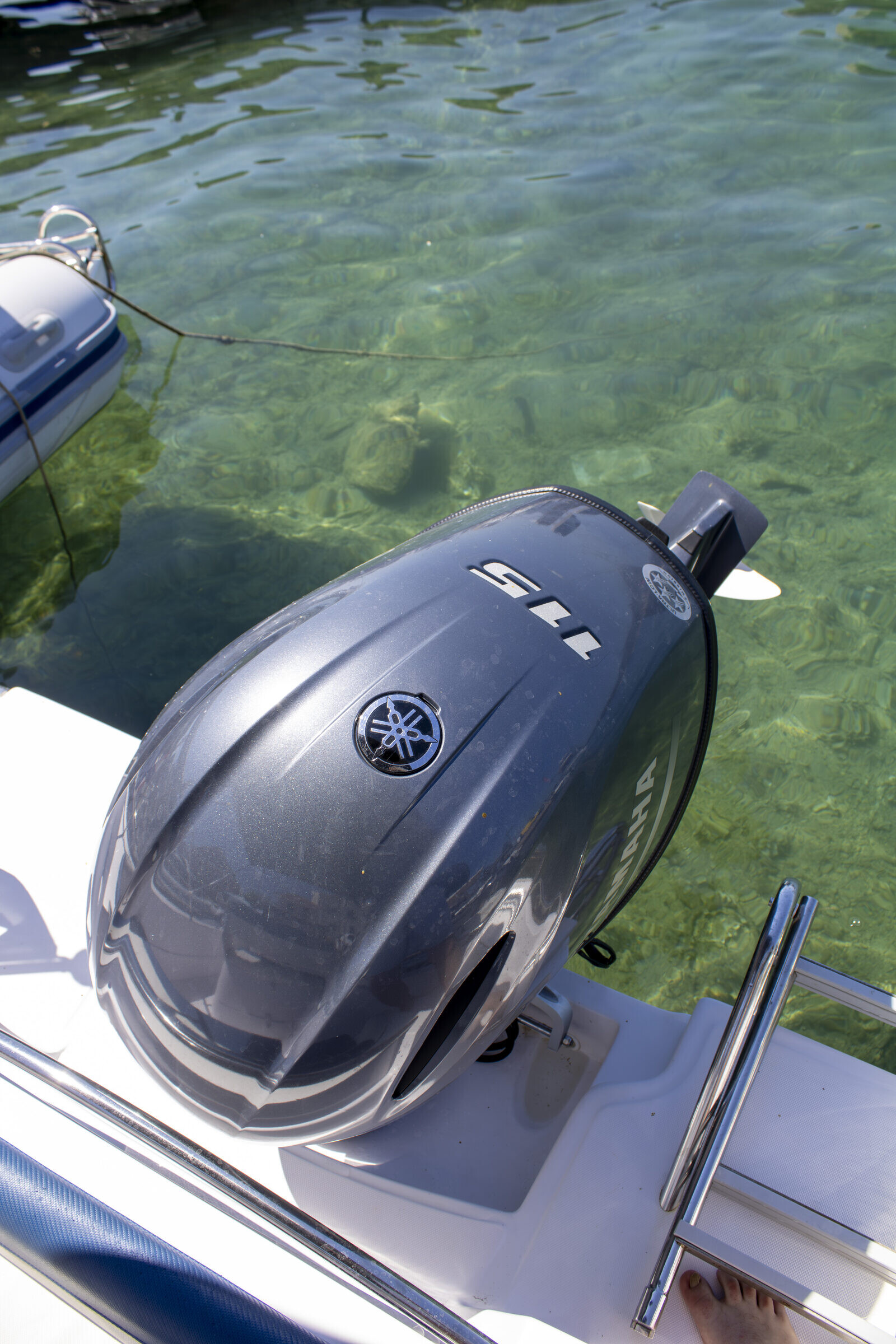 Blumax Bluline 19 115 HP — photo 6